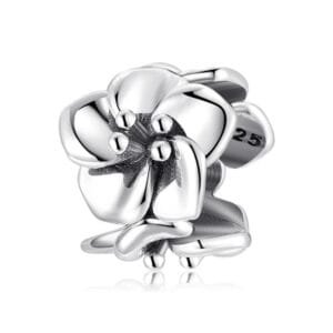 Charm bạc PC0398