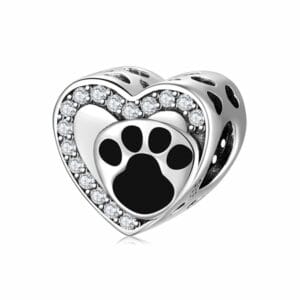Charm bạc PC0595
