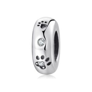 Charm bạc PA0117