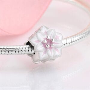 Charm bạc PC0100