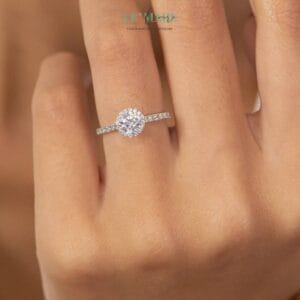 Round Cut Halo Moissanite Engagement Ring • Nhẫn halo đính đá nhiều chất liệu LMJ Le'mare Jewelry LMJ